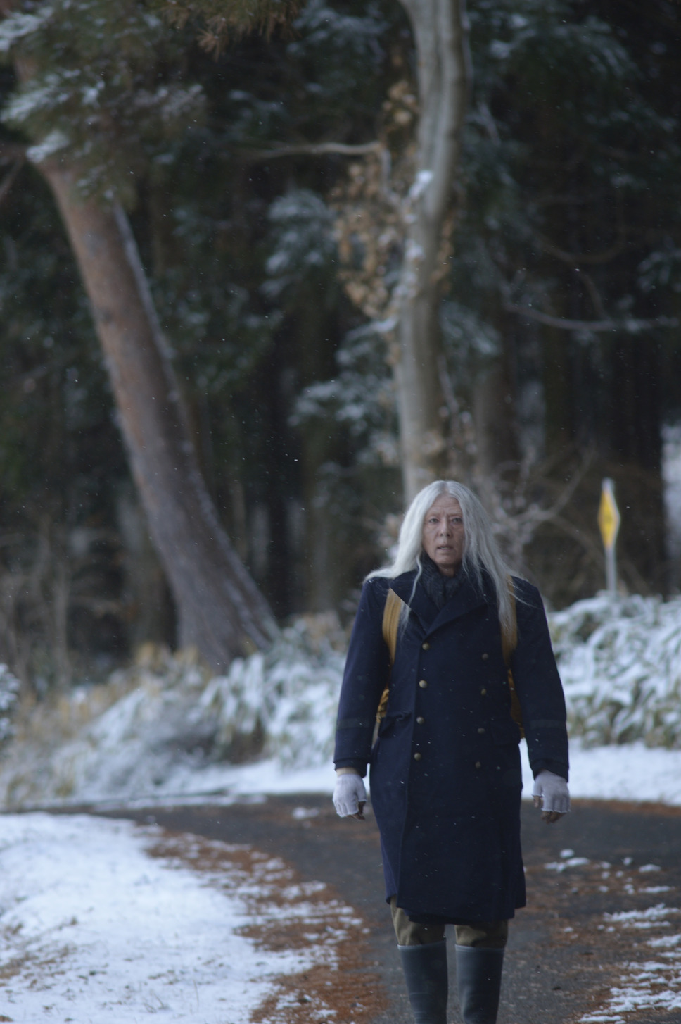 脛擦りの森 16枚目の写真・画像