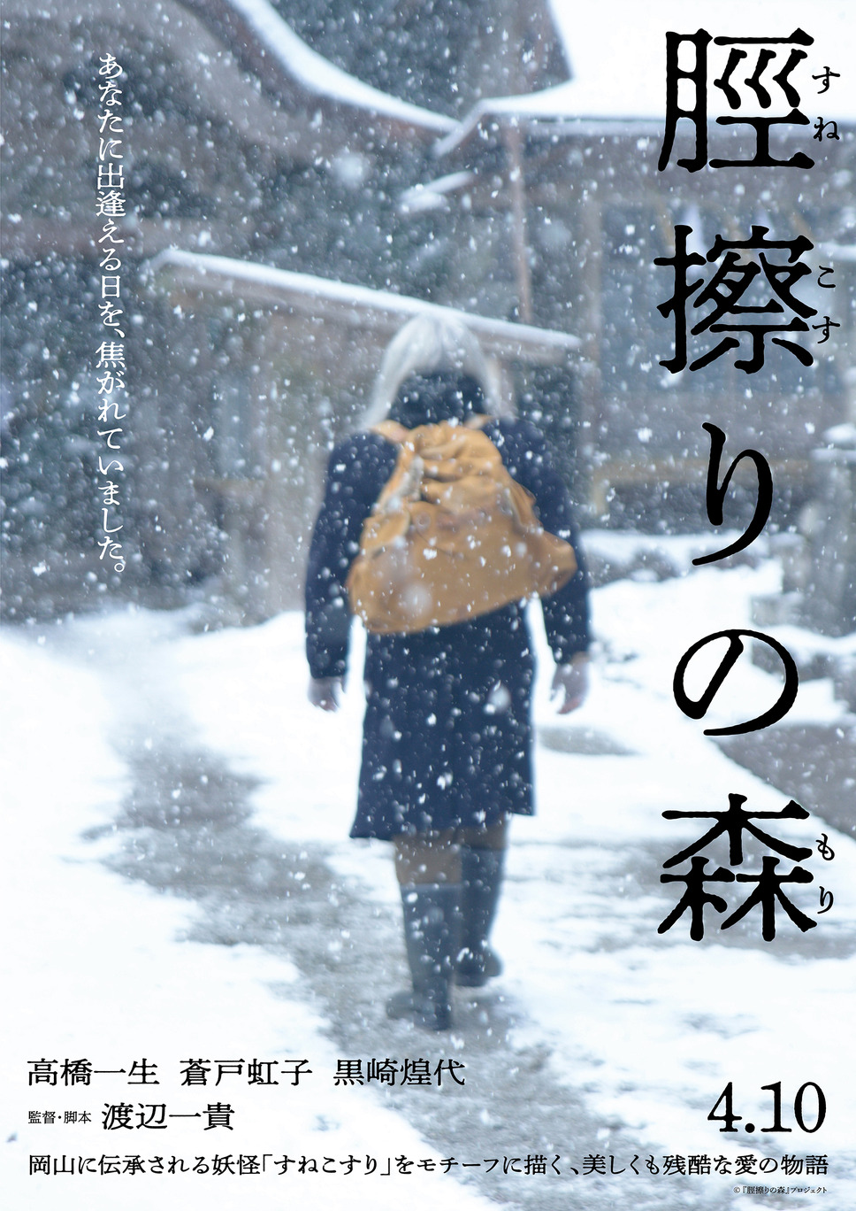 脛擦りの森 17枚目の写真・画像