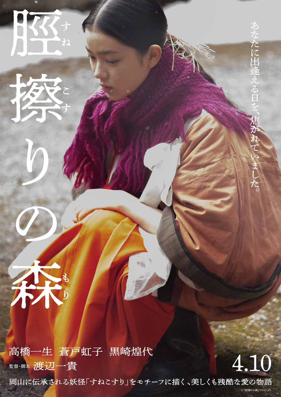 脛擦りの森 21枚目の写真・画像