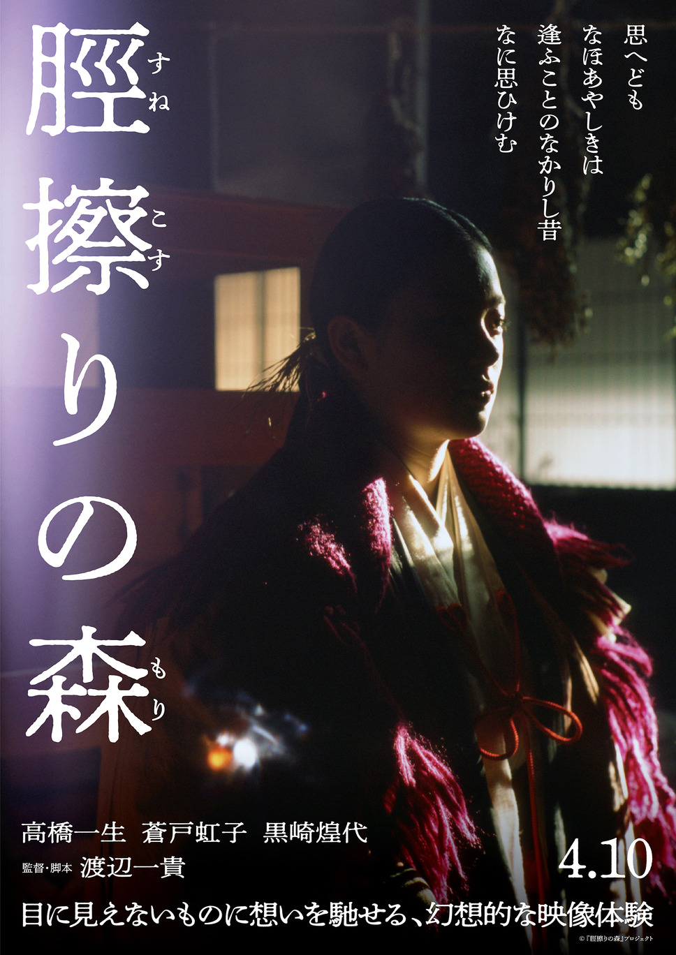 脛擦りの森 22枚目の写真・画像