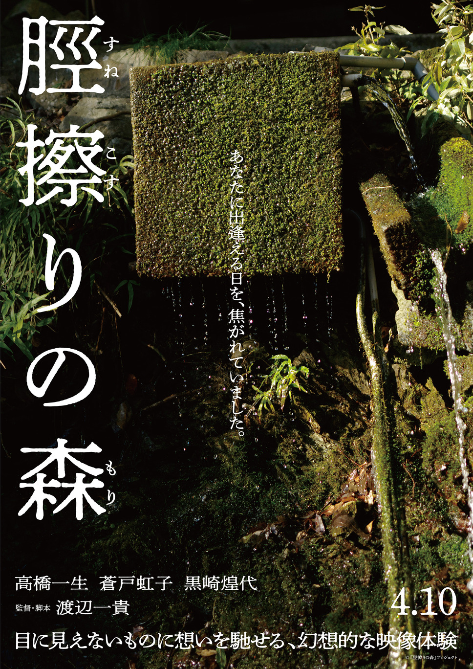 脛擦りの森 24枚目の写真・画像