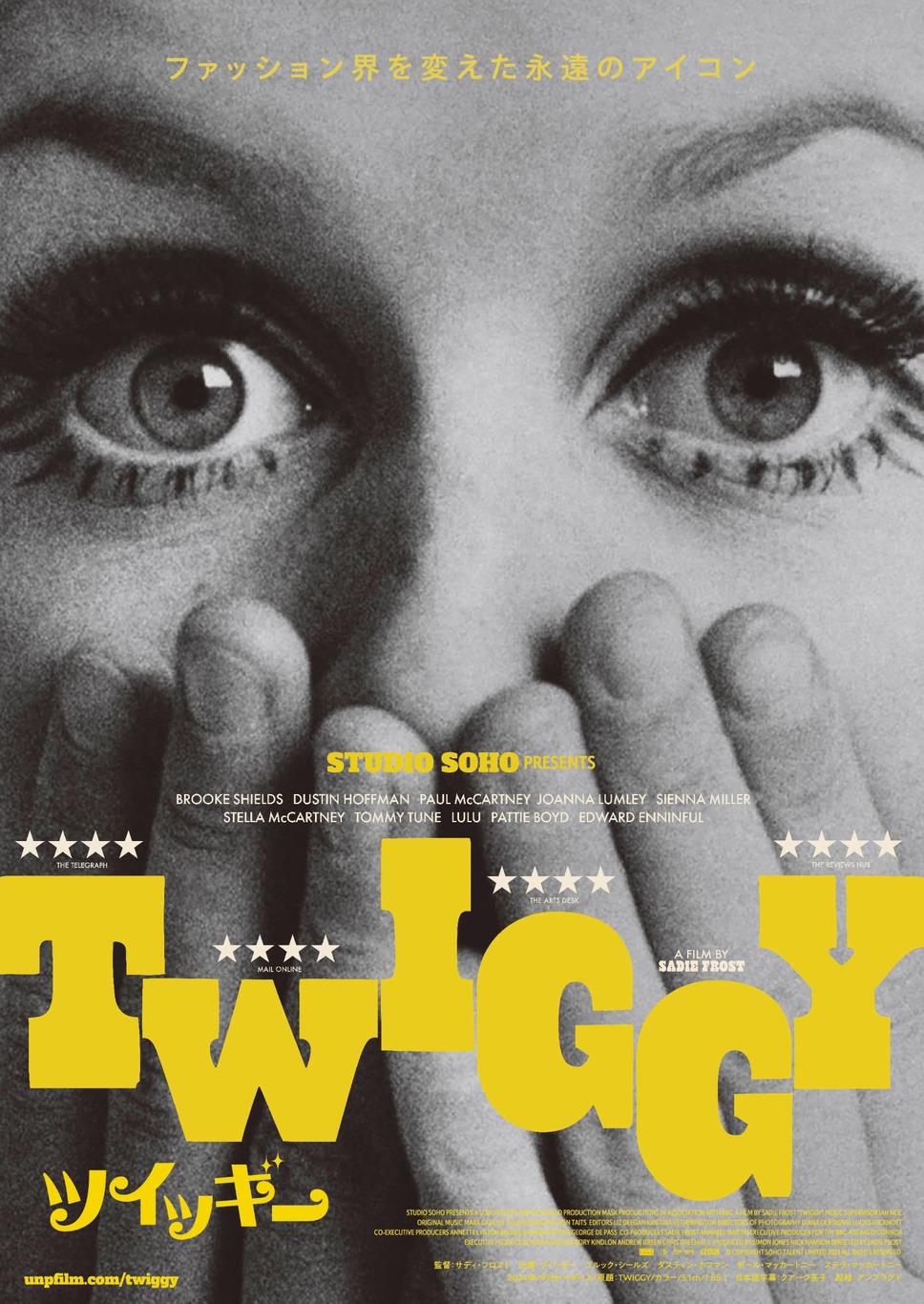 ツイッギー 3枚目の写真・画像