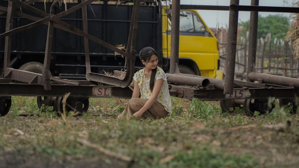 サトウキビは知っている 17枚目の写真・画像