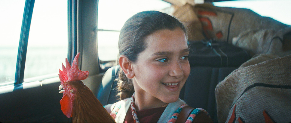 大統領のケーキ 5枚目の写真・画像