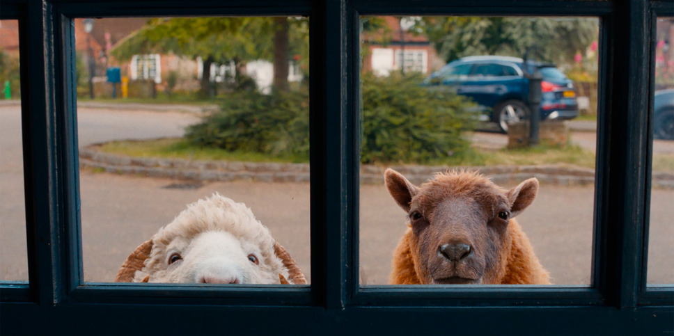 ひつじ探偵団 4枚目の写真・画像