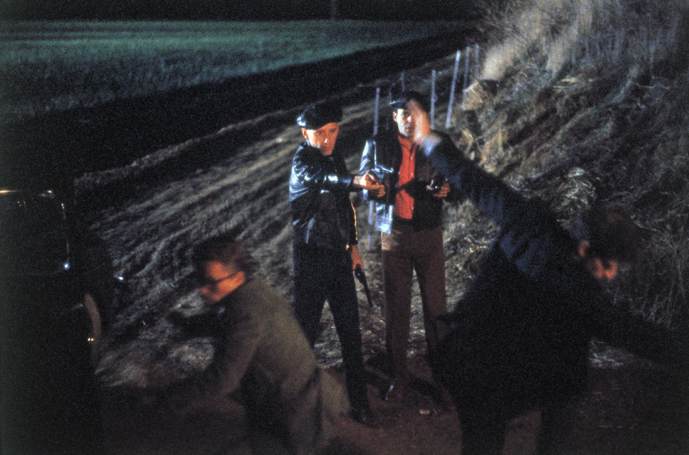 オニオン・フィールド 4枚目の写真・画像