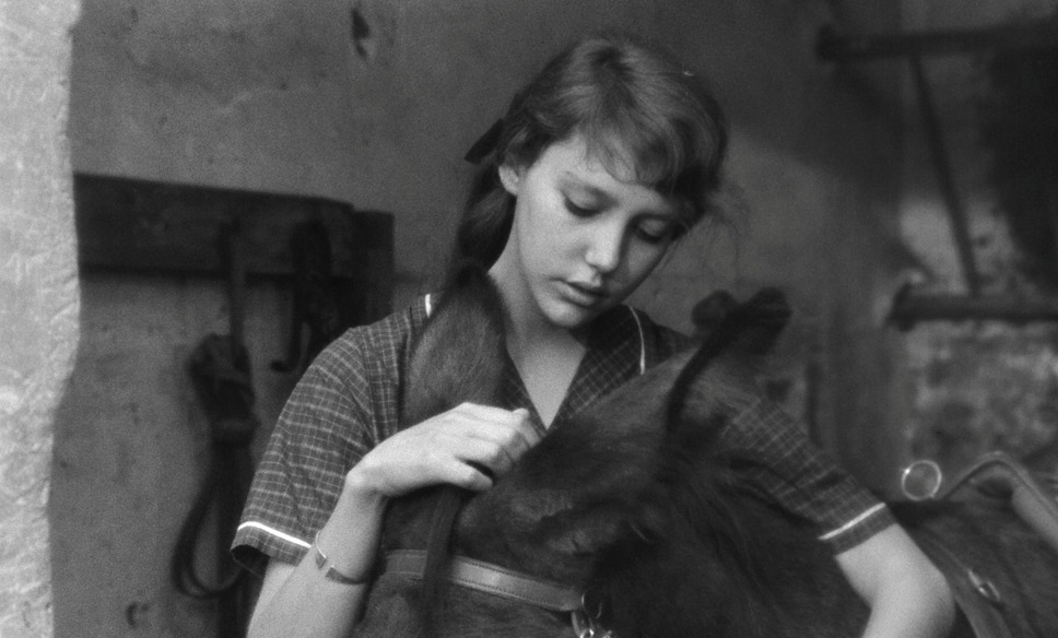 『バルタザールどこへ行く 4Kレストア』©1966 Argos Films – Parc Film – Athos Films – Swedish Film Institut – Svensk Filmindustr