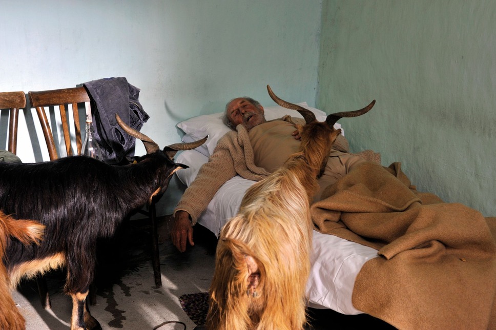 『四つのいのち』(C) 2010 VIVO FILM, ESSENTIAL FILMPRODUKTION, INVISIBILE FILM, VENTURA FILM