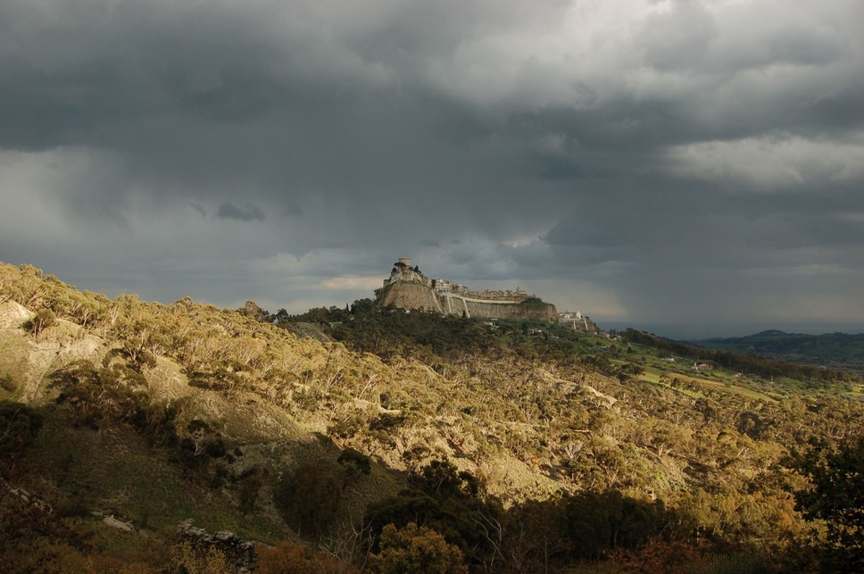 『四つのいのち』(C) 2010 VIVO FILM, ESSENTIAL FILMPRODUKTION, INVISIBILE FILM, VENTURA FILM