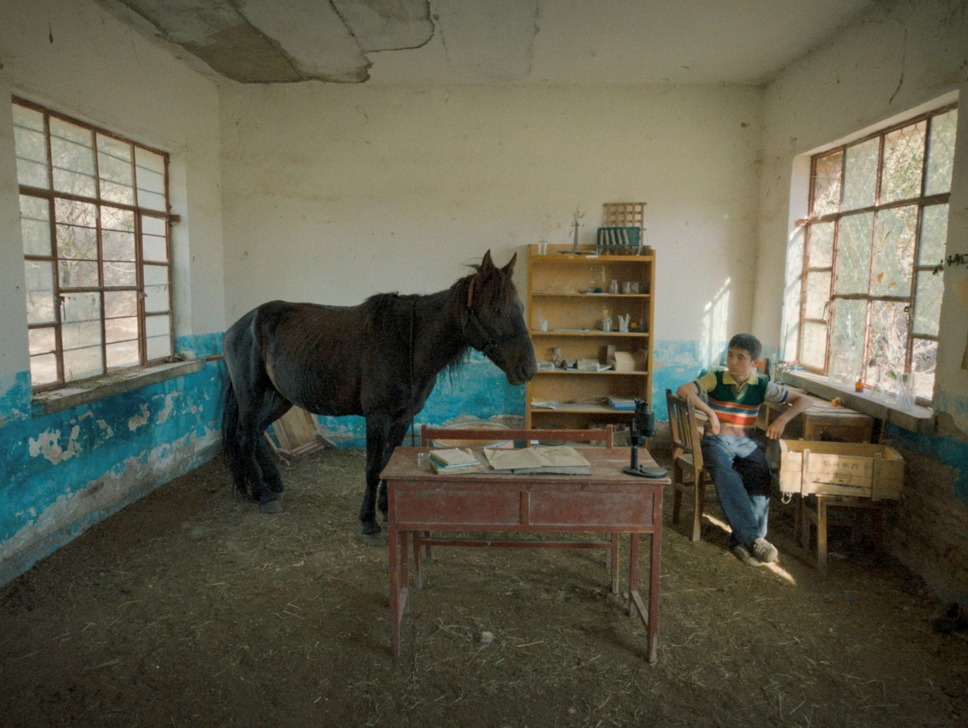 ボタニスト 植物を愛する少年 4枚目の写真・画像