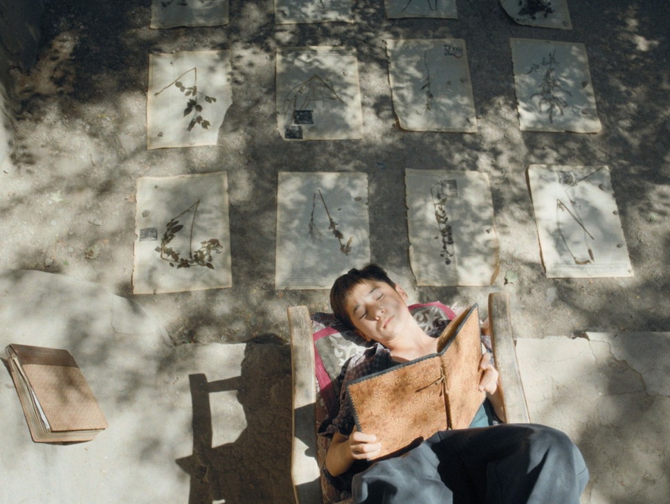 ボタニスト 植物を愛する少年 5枚目の写真・画像