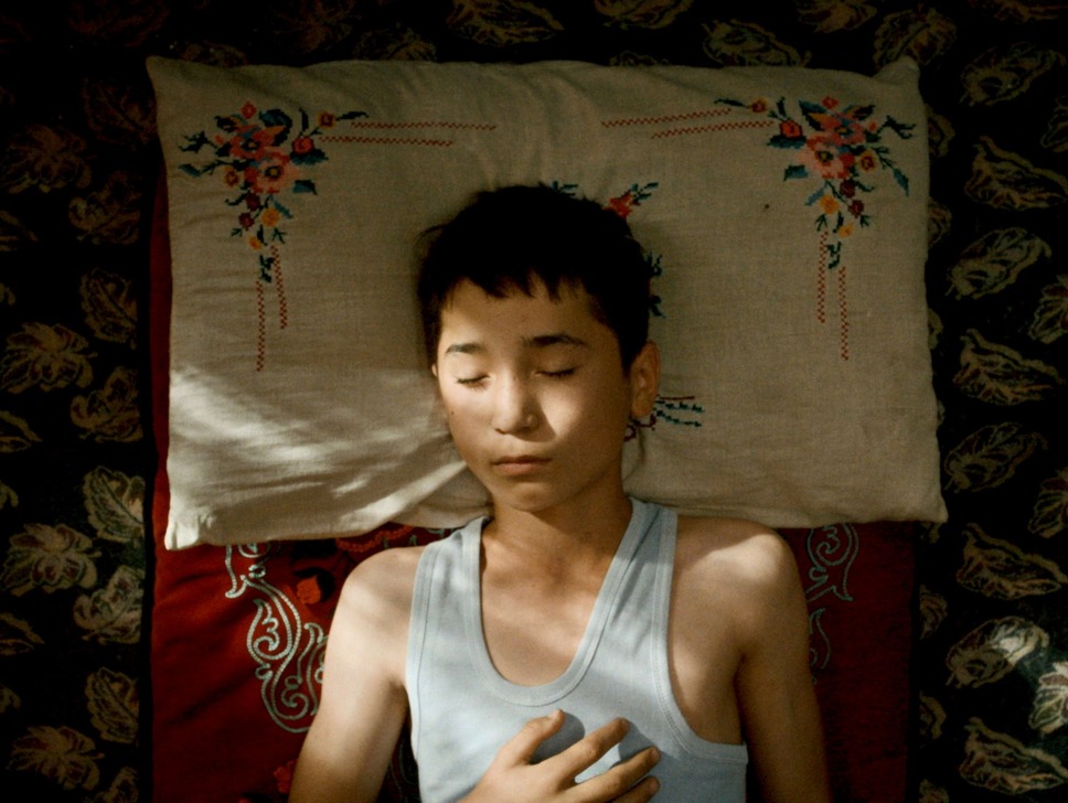 ボタニスト 植物を愛する少年 10枚目の写真・画像