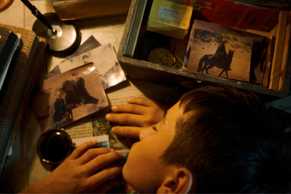 ボタニスト 植物を愛する少年 11枚目の写真・画像