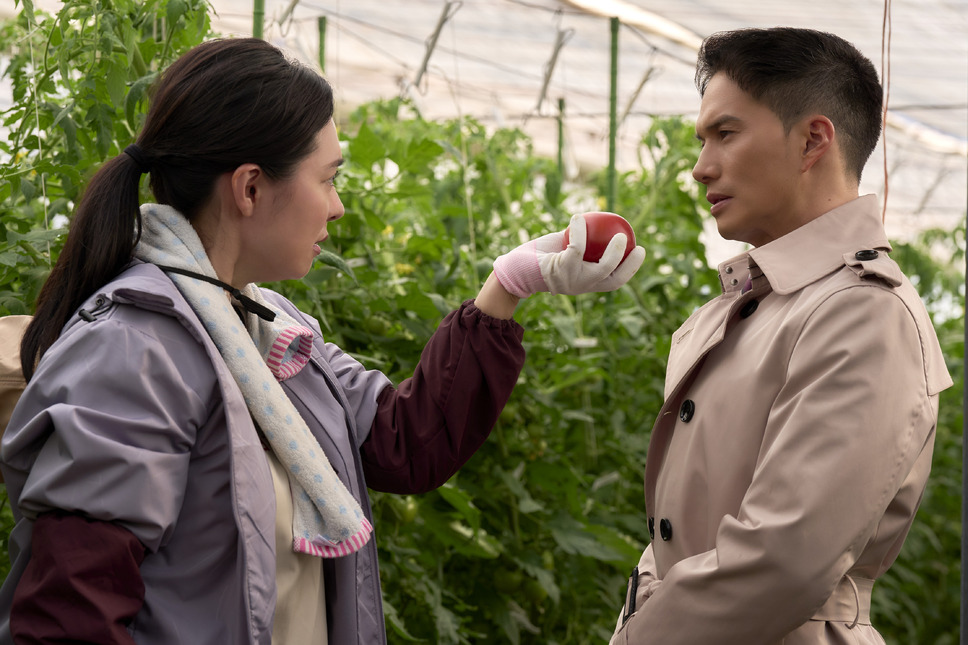 正直不動産 13枚目の写真・画像