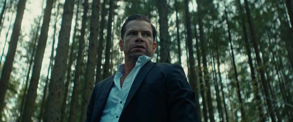 さよなら、僕の英雄 6枚目の写真・画像