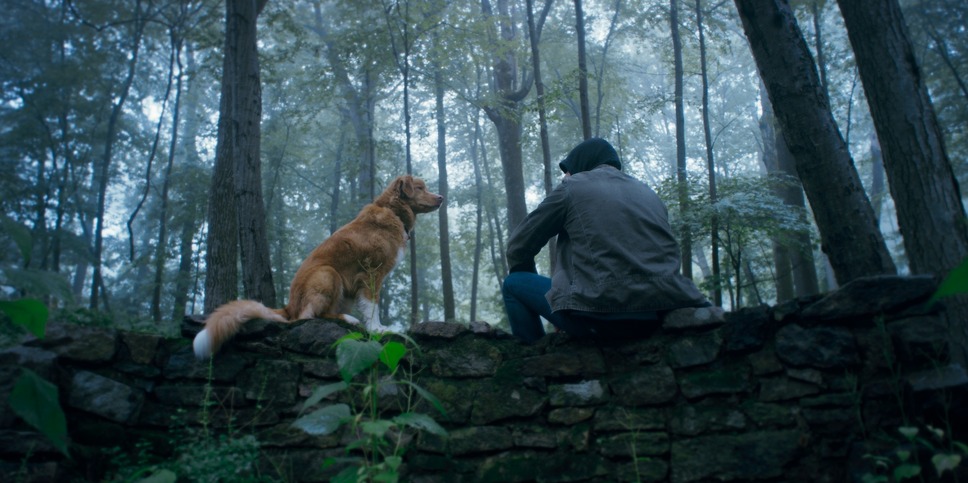 GOOD BOY／グッド・ボーイ 4枚目の写真・画像