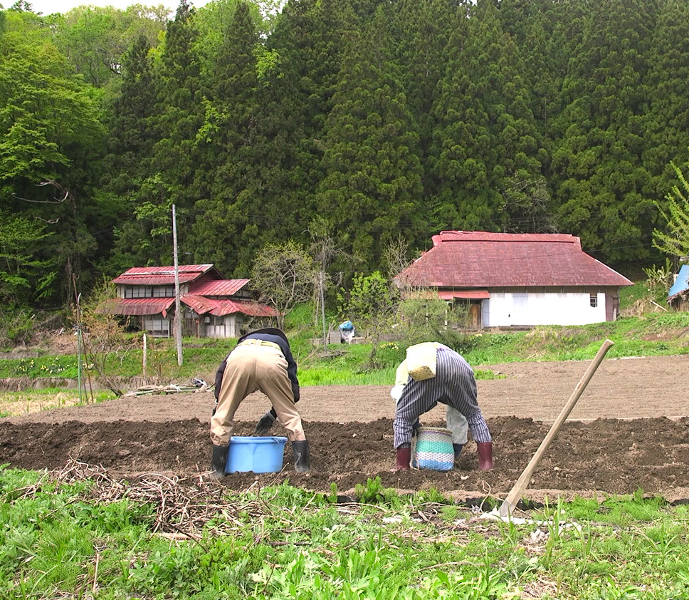 身土不二 4枚目の写真・画像