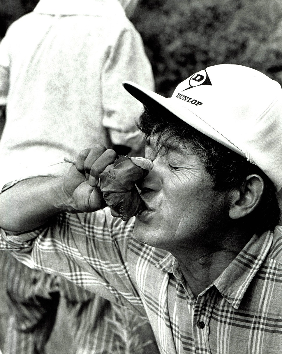 身土不二 9枚目の写真・画像