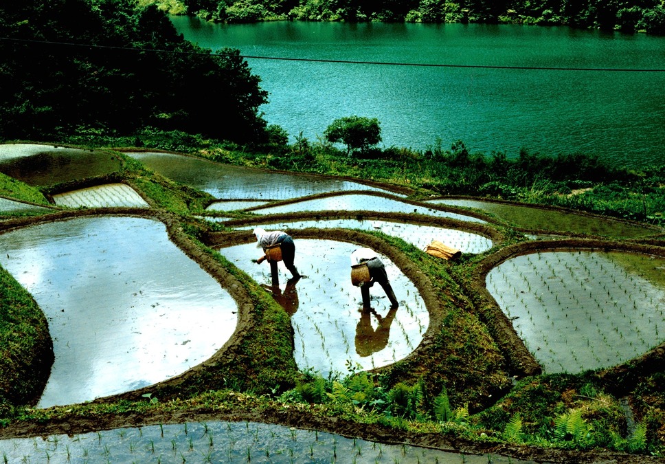 身土不二 10枚目の写真・画像