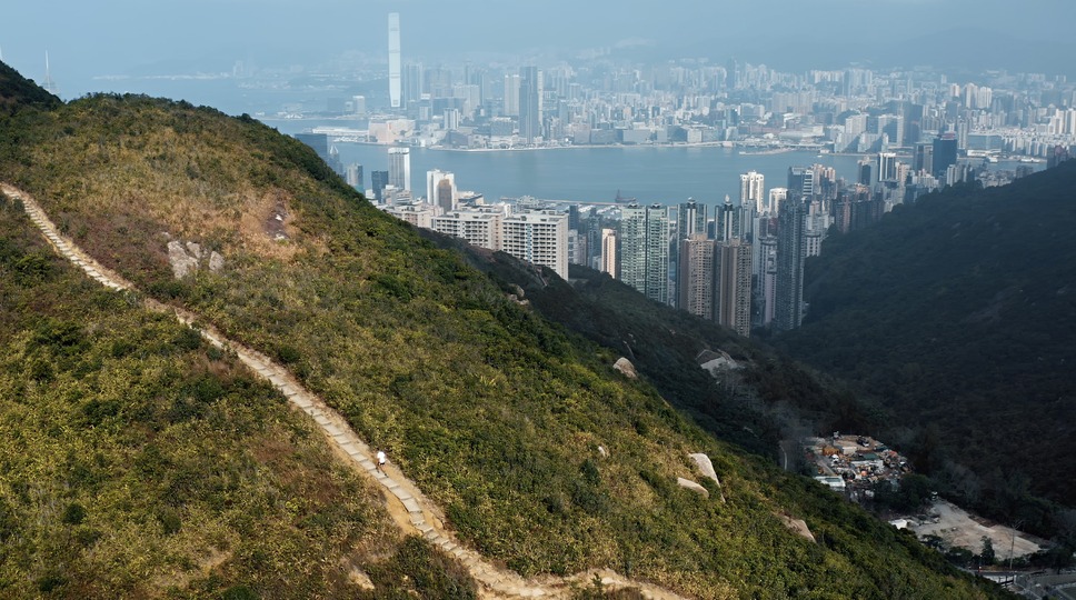 フォー・トレイルズ 限界を超えてゆけ 6枚目の写真・画像