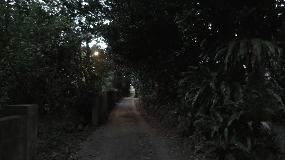 ゆっくり あるく　川村浪子、84歳のダンス 3枚目の写真・画像