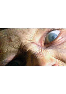 ダイアリー・オブ・ザ・デッド