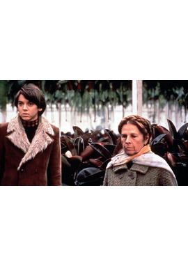 ハロルドとモード／少年は虹を渡る