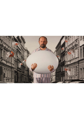 サヴァイヴィング ライフ―夢は第二の人生―