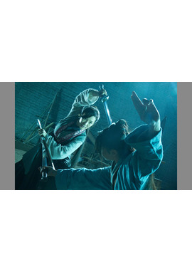 レイン・オブ・アサシン