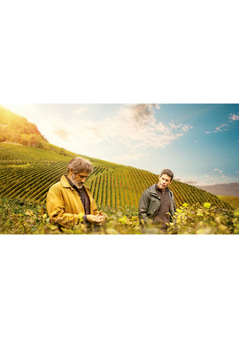 ブルゴーニュで会いましょう