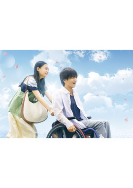 パーフェクトワールド 君といる奇跡