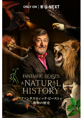 © Warner Bros. Entertainment UK Limited 2022