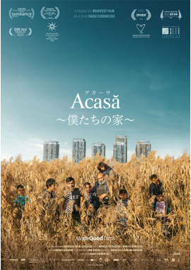 アカーサ ～僕たちの家～