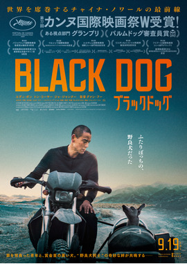 ブラックドッグ
