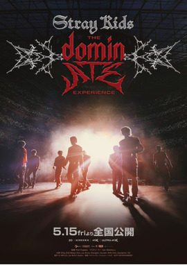 Stray Kids : The dominATE Experience