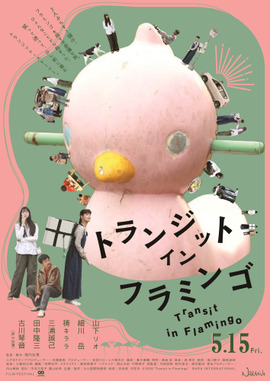 トランジット・イン・フラミンゴ