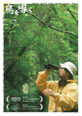 鳥を導く