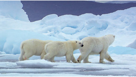 『ホワイト・プラネット』メイン