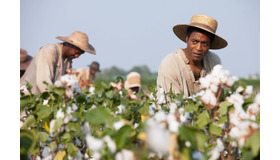 『それでも夜は明ける』-(C) 2013 Bass Films, LLC and Monarchy Enterprises S.a.r.l. in the rest of the World.　All Rights Reserved.