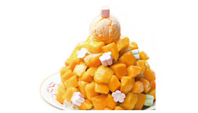 マンゴーチャチャ　カキ氷。台湾産の高級アップルマンゴーをたっぷり乗せて、トップにアイスクリームをトッピング！日本のカキ氷とは一線を画すトロピカルなアジアン・スイーツ。