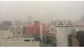 雨の映画