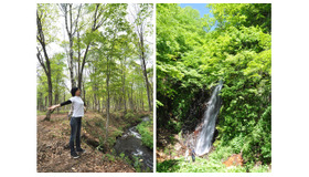 赤倉観光ホテル近くの妙高高原にて自然の力を体内に取り込むアクティブな癒し「森林セラピー」を体験。写真右は、香澄の滝。