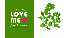 パクチー祭、原宿ロケットで7月開催