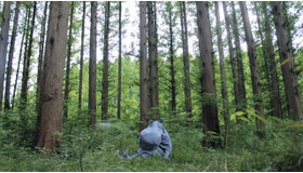 「ムーミン一家になって海の観音さまに会いにいく」2014, スライド, テキスト, 音声／飯山由貴