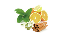 漢方ビューティーイベントが2月20日・21日の2日間限定で開催！