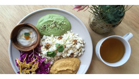 2種のローカレープレート、ホーリーバジルティー付き。スパイスのパワーで体の巡りをよくするスパイシーグリーンカレーとココナッツイエローカレー。