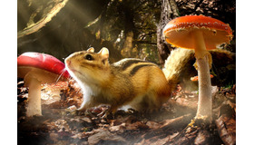 『小さな世界はワンダーランド』　(C)BBC 2014