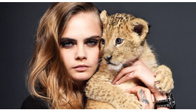 カーラ・デルヴィーニュ-(C)Getty Images