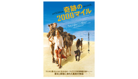 『奇跡の2000マイル』ポスター - (C) 2013 SEE-SAW (TRACKS) HOLDINGS PTY LIMITED, A.P. FACILITIES PTY LIMITED, SCREEN AUSTRALIA, SOUTHAUSTRALIAN FILM CORPORATION, SCREEN NSW AND ADELAIDE FILM FESTIVAL