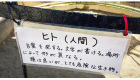 先日行った動物園での1枚